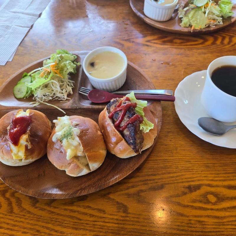 モーニング(ポインセティア)