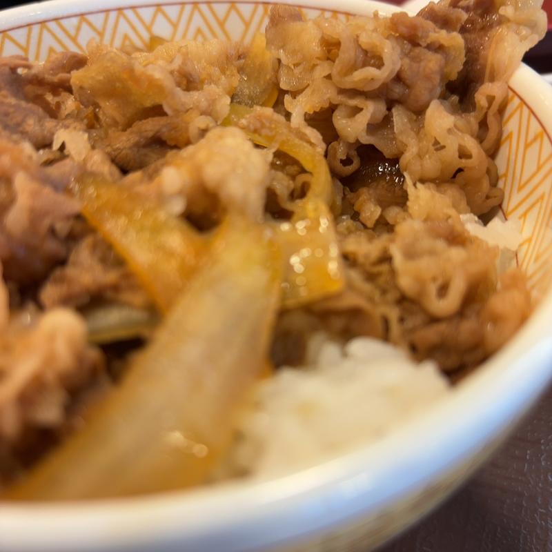 牛丼(すき家 太田内ヶ島店 )