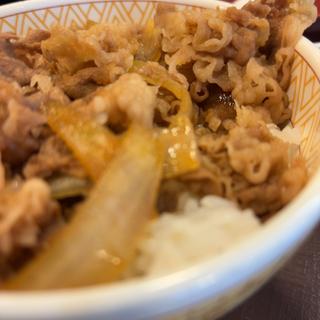 牛丼(すき家 太田内ヶ島店 )