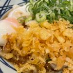 トロ玉うどん