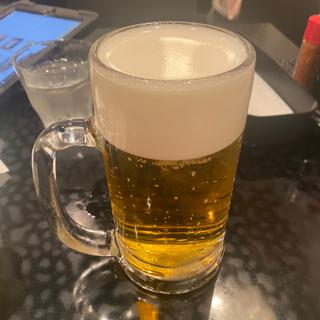 生ビールジョッキ(日本の味 すぎのこ)