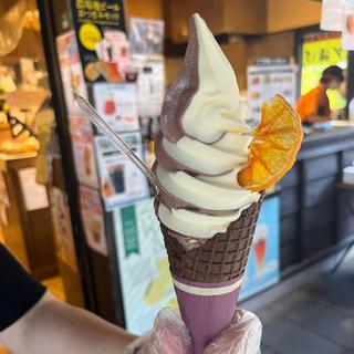 デコポンとチョコのミックスソフト(五木屋本舗 城彩苑 )