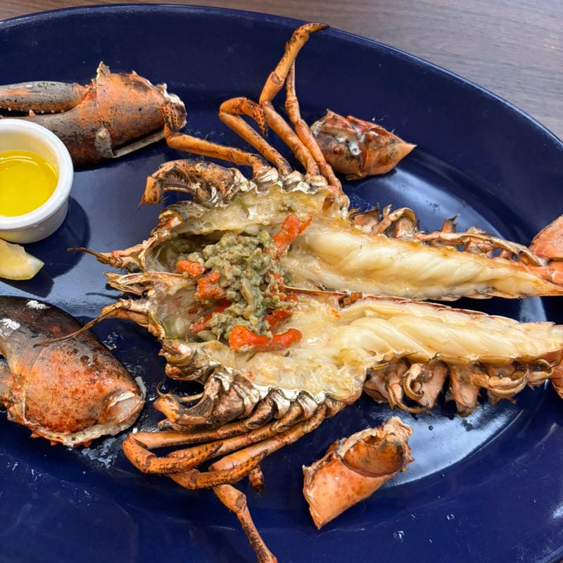 ライブロブスター　オーブン(レッドロブスター 北小岩店)