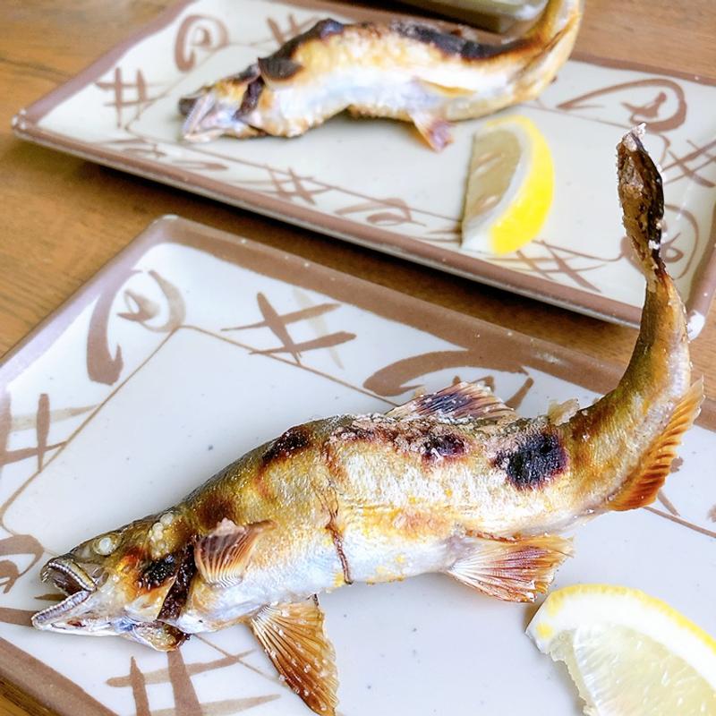 鮎の塩焼き(湯来つり堀 )
