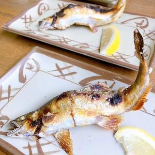鮎の塩焼き(湯来つり堀 )