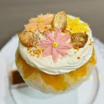 秋桜の音色(Sweets Design Studio MAPRIL（メイプリル）)