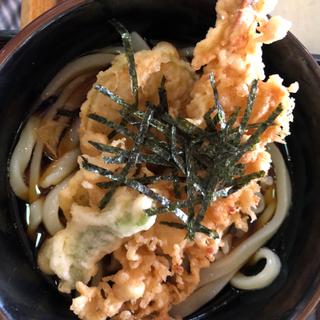 大エビコロうどん