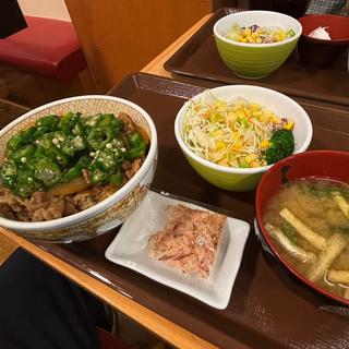 かつぶしオクラ牛丼 中盛(すき家 グリナード永山店  )