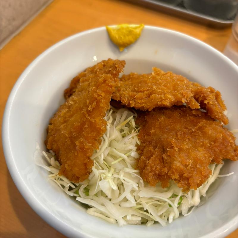 タレカツ丼(斗香庵 Higasi)