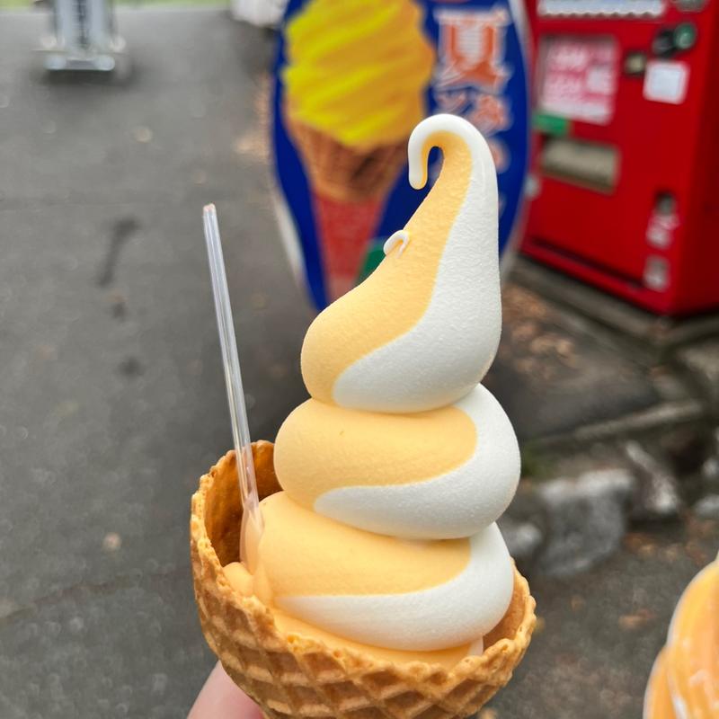 夏みかんソフトミックス(台観望 台上店 )