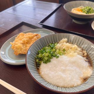 とろろぶっかけうどん