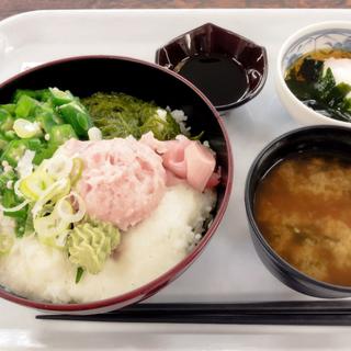 スペシャルメニュー(ネギトロとろろ丼)(葛飾区役所　食堂 )