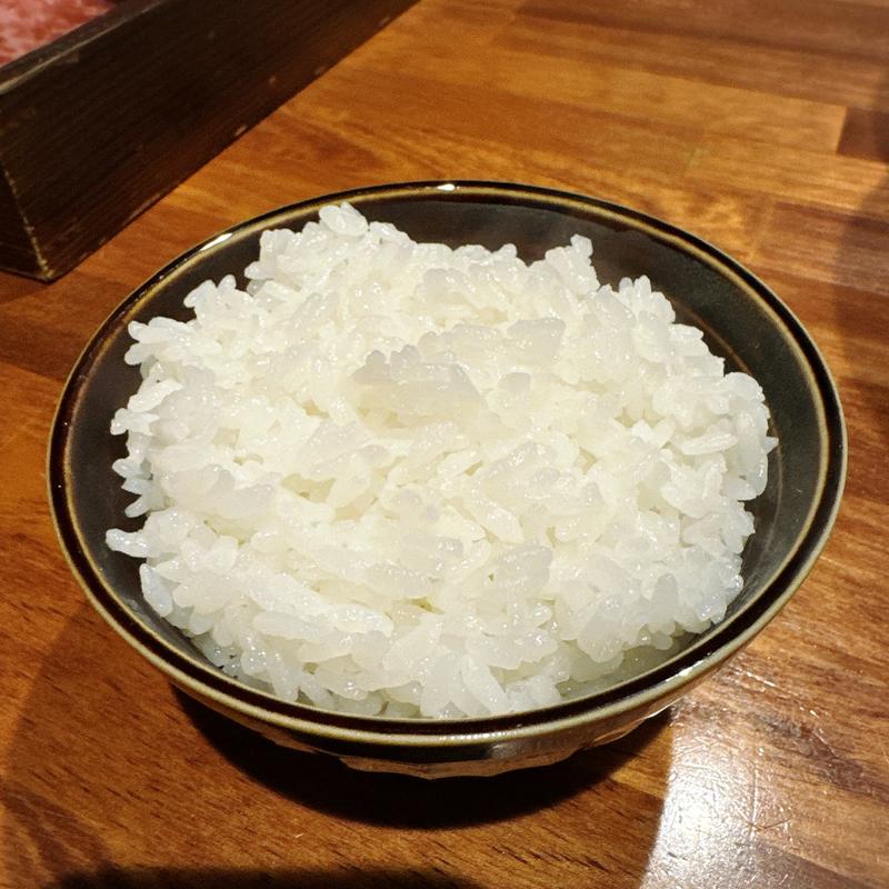 ライス(代官山 焼肉かねこ )