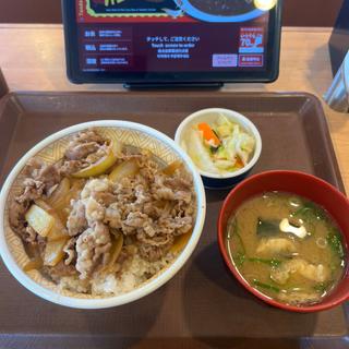 牛丼大盛　おしんこセット(すき家 八潮西袋店)