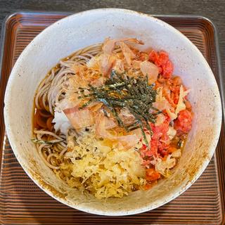 天ばなおろし蕎麦(狸囃)