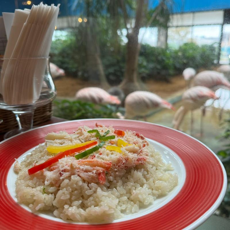 ランチピラフセット(メヒコ 守谷フラミンゴ館 )