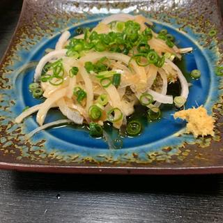 (旬太郎 追手筋店 )