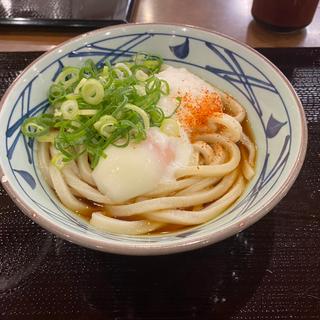 とろ玉うどん(丸亀製麺津島)