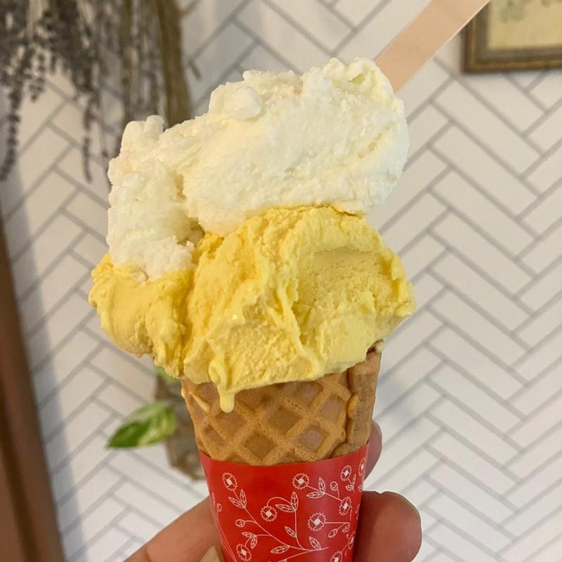 ヤオルト　バターナッツカボチャ(カシェット アイスクリーム&コーヒー)