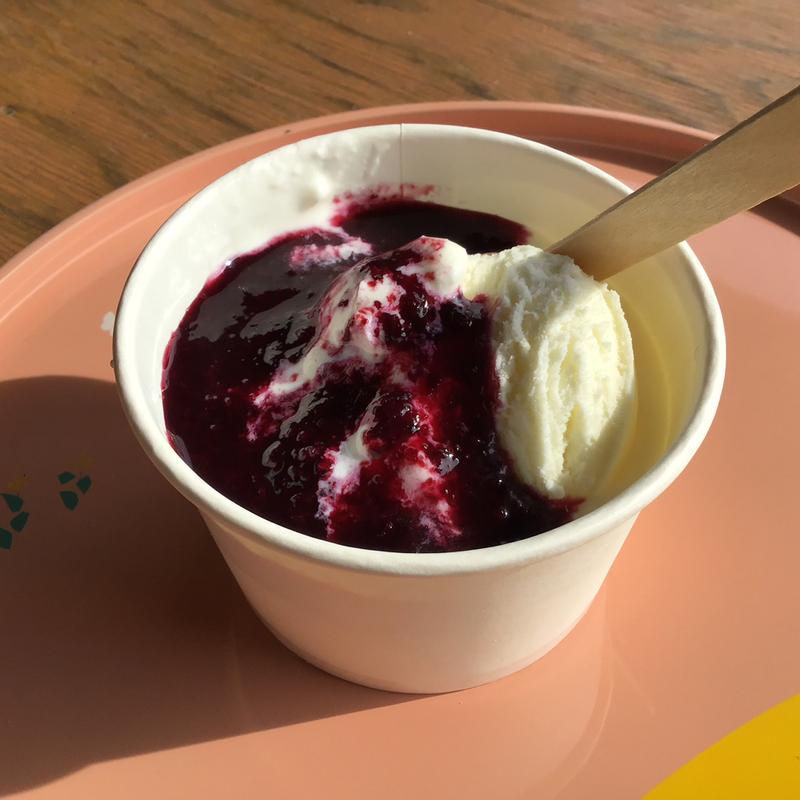 ブルーベリー　アイス＋ヨーグルト(愛菜ファームブルーベリーハウス)