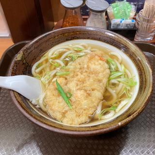 てんぷらうどん(ちから　本店 )