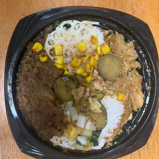 チキンマッサマンカレー×和歌山ショウガの牛すじルンダン(スパイス食堂javajava)