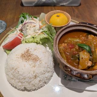 手羽元と野菜のトマトスープごはんプレート(ミジンコ)