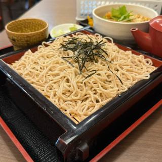 ざるそば(信州そば・うどん 戸田屋)