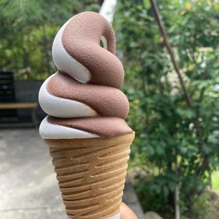 トンカミルクとチョコレートのミックス(森の駅　小淵沢 （八ヶ岳登山歴史館）)