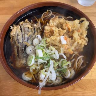ゴボ天、ナス天そば(そば谷)