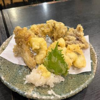 ハモの天ぷら(仲宿酒蔵)