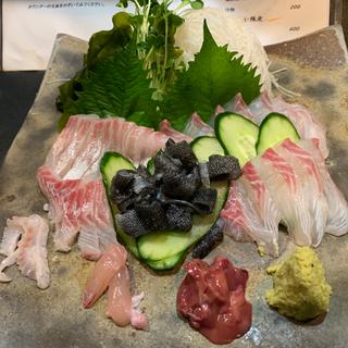 (居酒屋 まつだ )