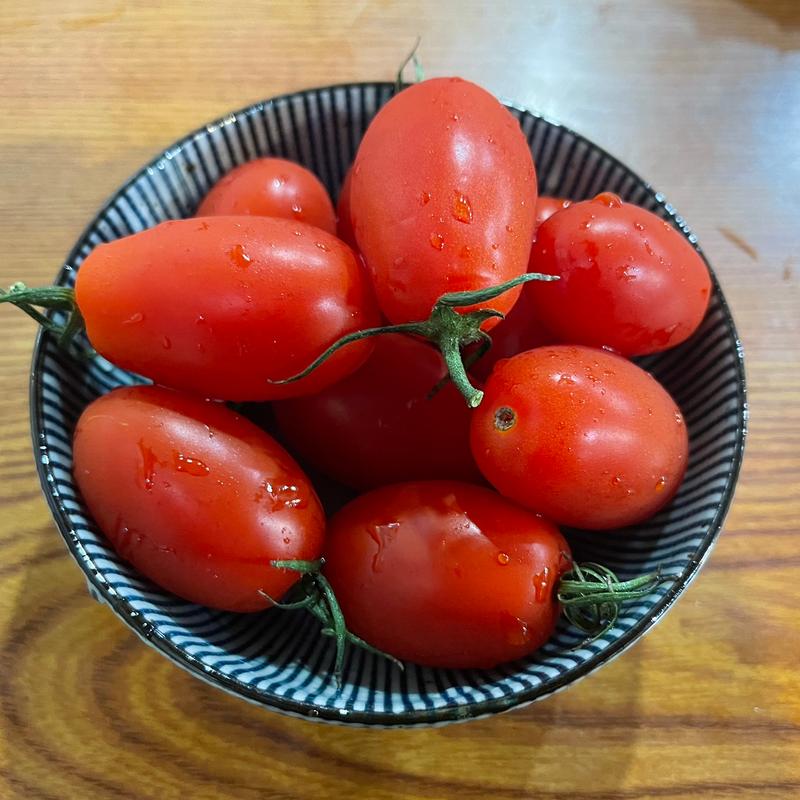 ミニトマト(ホルモン焼 はせ川)