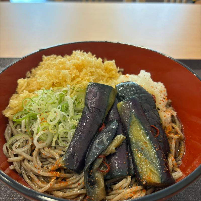 茄子おろしそば(十割そば 二代目長助岡崎美合店)
