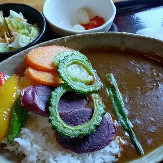 島野菜カレー(お食事処 かにふ)