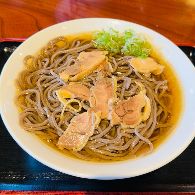冷たい肉そば(一寸亭 本店 （ちょっとてい）)