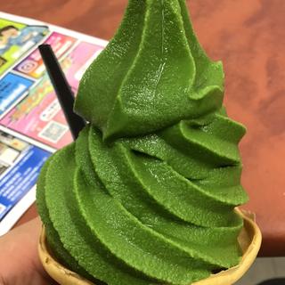 抹茶ソフトクリーム(東山茶寮 )