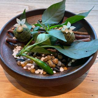 鮎の苔玉コロッケ(Satologue（さとローグ）)