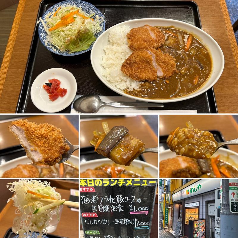 ヒレカツカレー(わしや ごはん処)