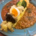 スパイスカレー2種盛り(カレー会議室)