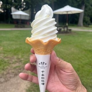 ソフトクリーム(千本松牧場売店 )