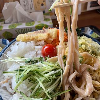 冷やしたぬきうどん（大盛）