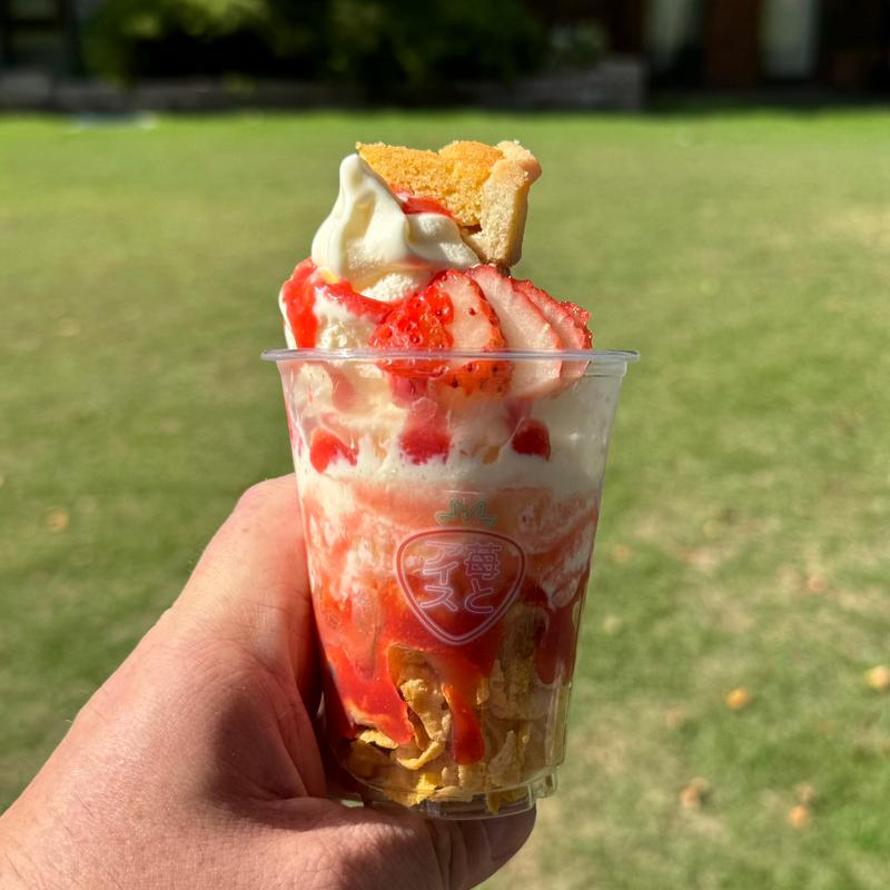 苺タルトアイス(tartotte 鶴舞公園店)