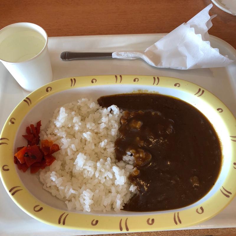 カレーライス【中辛】(ヨッテカーレ城端 )