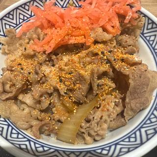 牛丼(並)(吉野家 ２３号線白子店 )