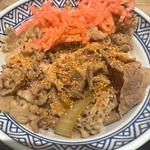 牛丼(並)(吉野家 ２３号線白子店 )