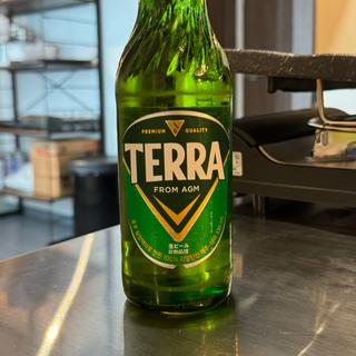 TERRAビール(シガン東桜店 生サムギョプサル専門店)