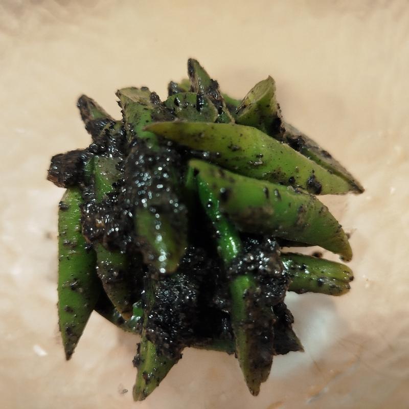 いんげんの胡麻和え(分讃岐うどん あ季 時譚)