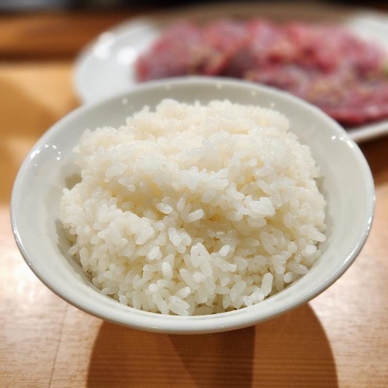 ライス 中(ライブ焼肉 てんぐ 西中島本店)