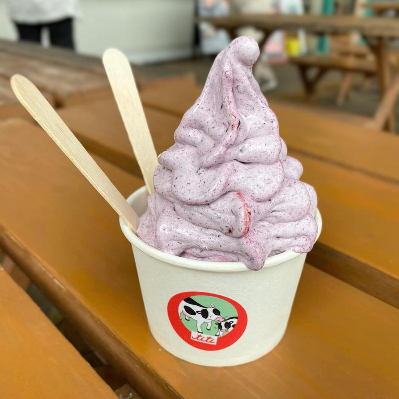 ブルーベリーソフト(道の駅ソレーネ周南 titi fujii farm)
